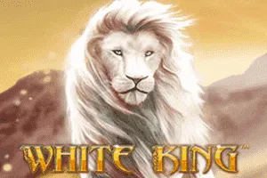 Playtech : White King - TERRABET168
