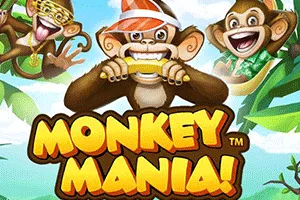 Playtech : Monkey Mania - TERRABET168