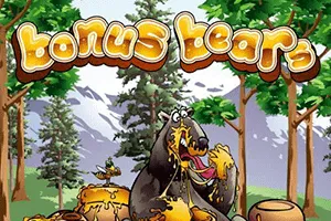 Playtech : Bonus Bears - TERRABET168