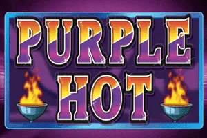 Playtech : Purple Hot - TERRABET168