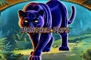 Playtech : Panther Pays - TERRABET168
