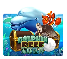 Joker123 : Dolphin Reef - TERRABET168