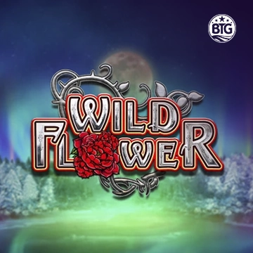 Bigtime : Wild Flower - TERRABET168