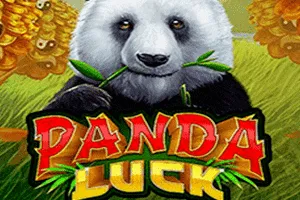 Playtech : Panda Luck - TERRABET168