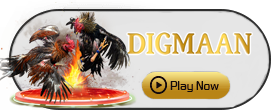 Digman - TERRABET168